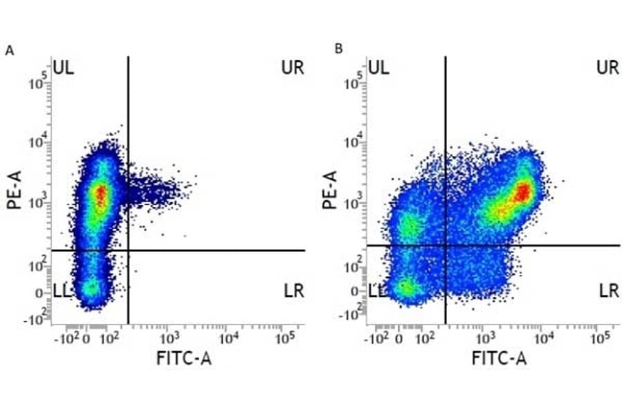 Flow Cytometry - Anti-CD11b Antibody [ICRF44] (PE) (A280693) - Antibodies.com
