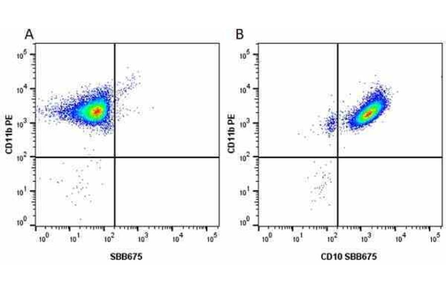 Flow Cytometry - Anti-CD11b Antibody [ICRF44] (PE) (A280693) - Antibodies.com