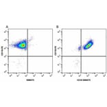 Flow Cytometry - Anti-CD11b Antibody [ICRF44] (PE) (A280693) - Antibodies.com
