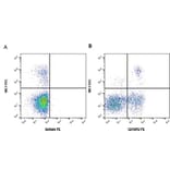Flow Cytometry - Anti-CD45RO Antibody [IL-A116] (PE) (A280712) - Antibodies.com