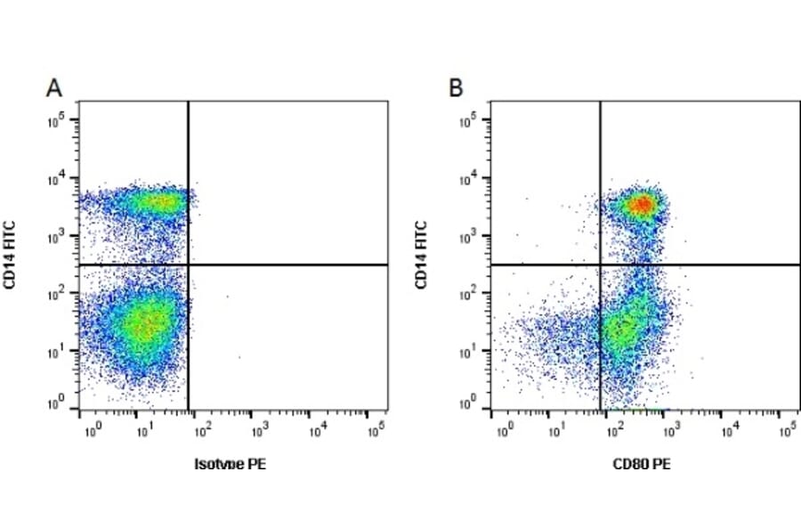 Flow Cytometry - Anti-CD80 Antibody [IL-A159] (PE) (A280719) - Antibodies.com