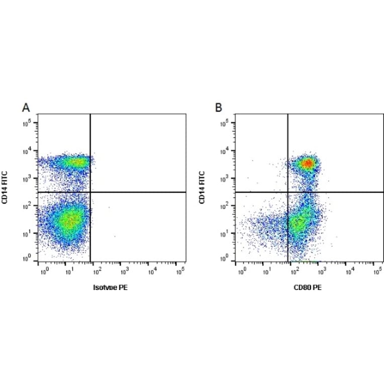Flow Cytometry - Anti-CD80 Antibody [IL-A159] (PE) (A280719) - Antibodies.com