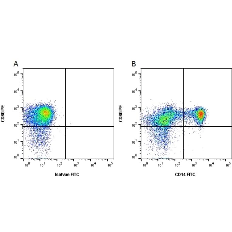 Flow Cytometry - Anti-CD80 Antibody [IL-A159] (PE) (A280719) - Antibodies.com