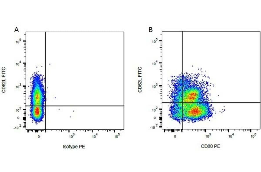 Flow Cytometry - Anti-CD80 Antibody [IL-A159] (PE) (A280719) - Antibodies.com