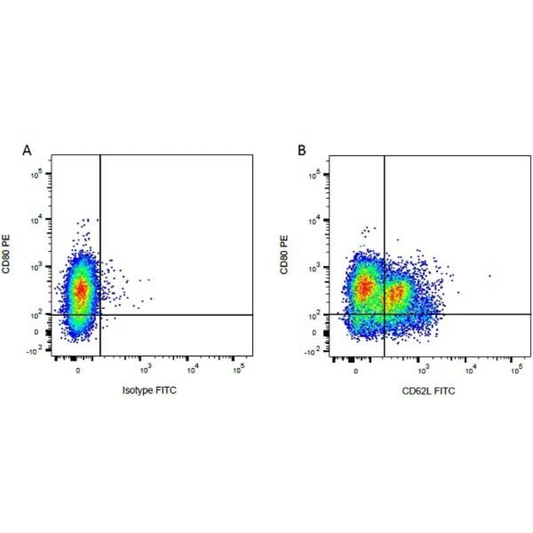 Flow Cytometry - Anti-CD80 Antibody [IL-A159] (PE) (A280719) - Antibodies.com