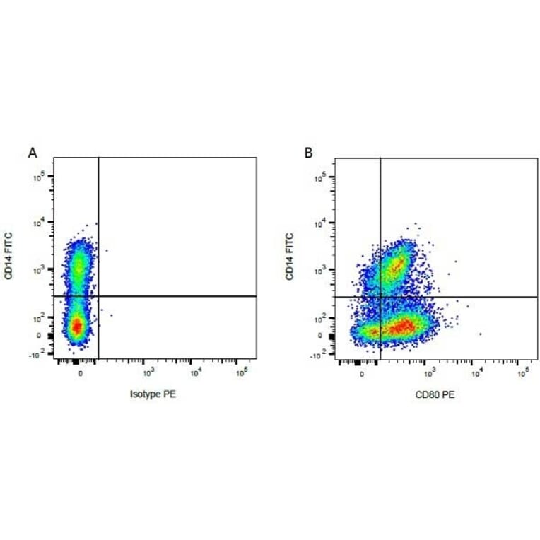 Flow Cytometry - Anti-CD80 Antibody [IL-A159] (PE) (A280719) - Antibodies.com