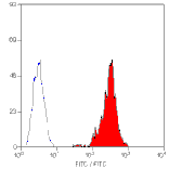Flow Cytometry - Anti-SLA Class I Antibody [JM1E3] (FITC) (A280778) - Antibodies.com