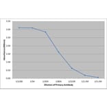 ELISA - Anti-Dog IgA Antibody [K117 1A8] (A280786) - Antibodies.com