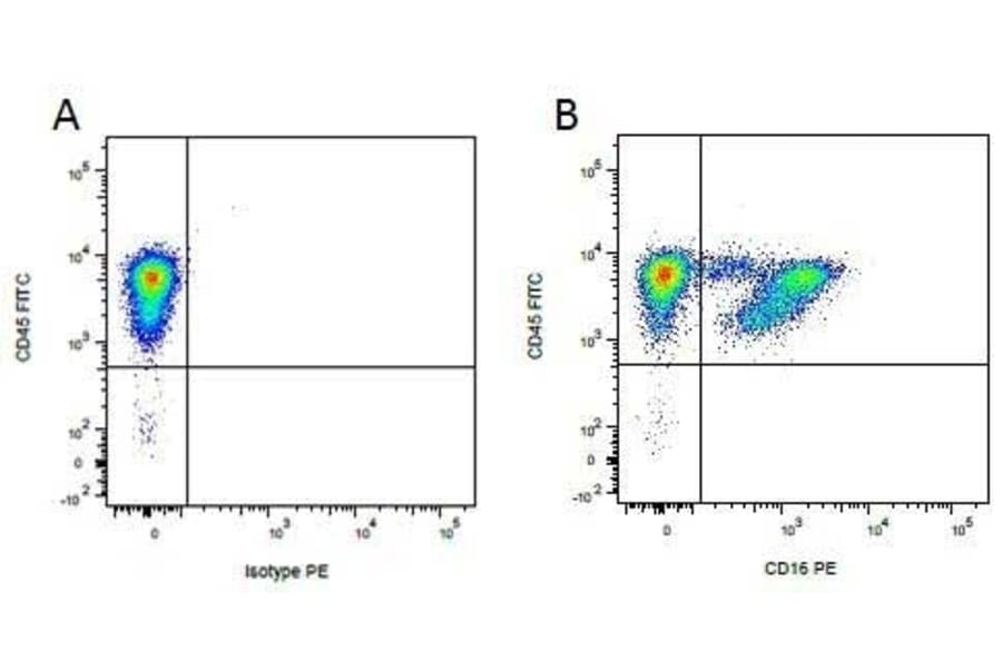Flow Cytometry - Anti-CD45 Antibody [K252.1E4] (FITC) (A280792) - Antibodies.com