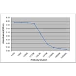 ELISA - Anti-Bovine IgG1 Antibody [K37 2G6] (A280798) - Antibodies.com