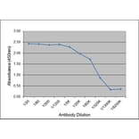 ELISA - Anti-Pig IgG2 Antibody [K68 Ig2] (A280803) - Antibodies.com