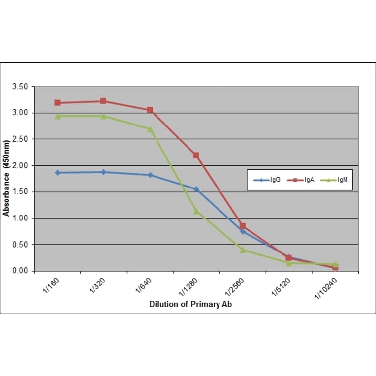 ELISA - Anti-Dog IgG + IgA + IgM Antibody [K99 2E3] (A280808) - Antibodies.com