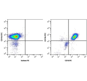 Flow Cytometry - Anti-CD16 Antibody [KD1] (PE) (A280810) - Antibodies.com