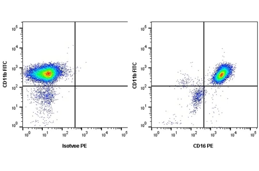 Flow Cytometry - Anti-CD16 Antibody [KD1] (PE) (A280810) - Antibodies.com