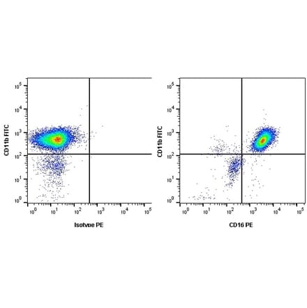Flow Cytometry - Anti-CD16 Antibody [KD1] (PE) (A280810) - Antibodies.com