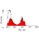 Flow Cytometry - Anti-CD4 Antibody [KEN-4] (FITC) (A280814) - Antibodies.com