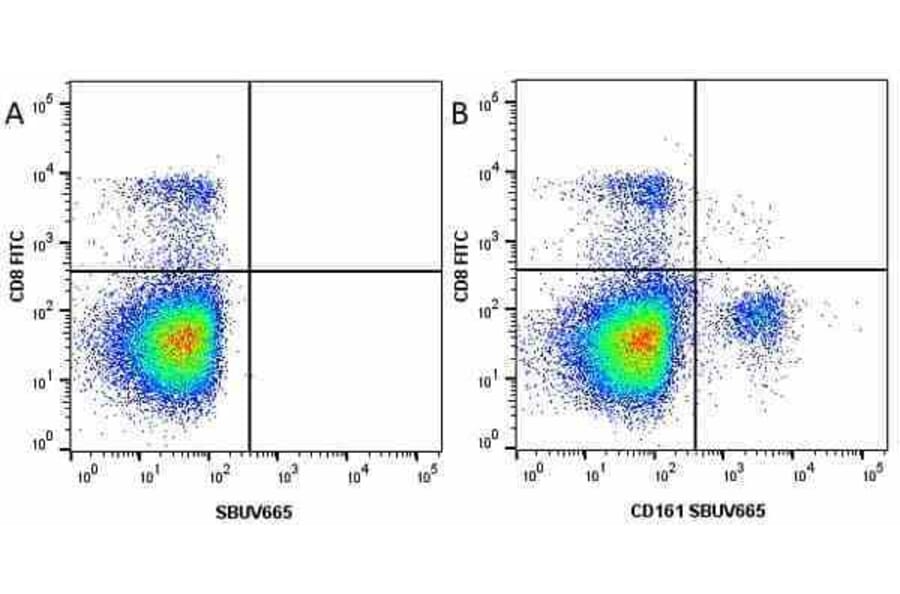 Flow Cytometry - Anti-CD8 alpha Antibody [KT15] (FITC) (A280827) - Antibodies.com