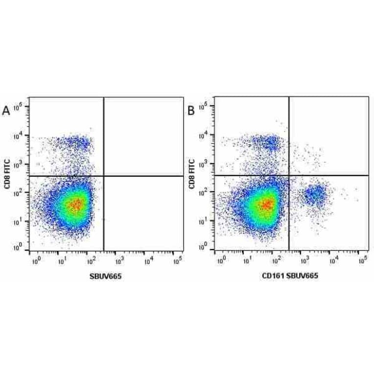 Flow Cytometry - Anti-CD8 alpha Antibody [KT15] (FITC) (A280827) - Antibodies.com