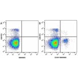 Flow Cytometry - Anti-CD8 alpha Antibody [KT15] (FITC) (A280827) - Antibodies.com