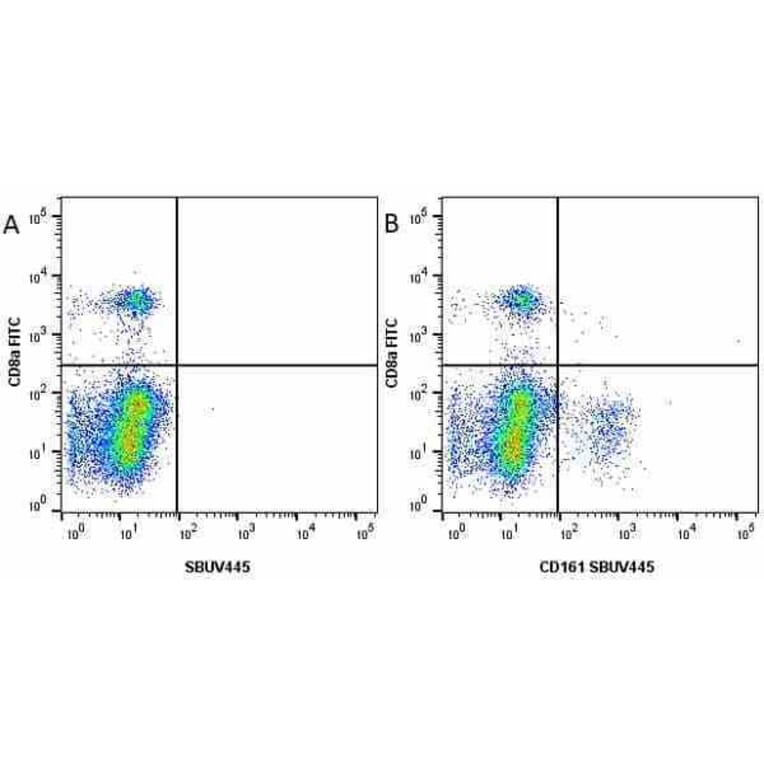 Flow Cytometry - Anti-CD8 alpha Antibody [KT15] (FITC) (A280827) - Antibodies.com