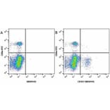 Flow Cytometry - Anti-CD8 alpha Antibody [KT15] (FITC) (A280827) - Antibodies.com