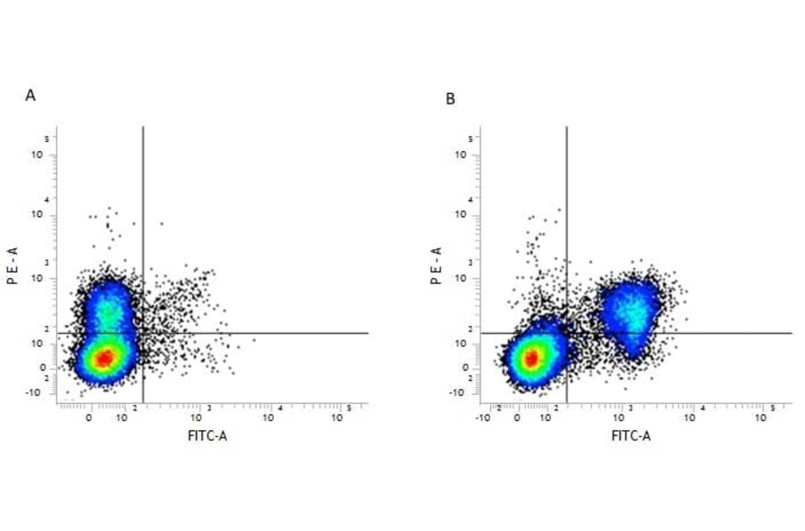 Flow Cytometry - Anti-CD3 Antibody [KT3] (FITC) (A280835) - Antibodies.com