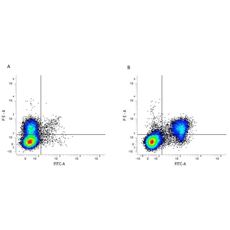 Flow Cytometry - Anti-CD3 Antibody [KT3] (FITC) (A280835) - Antibodies.com