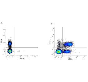Flow Cytometry - Anti-CD3 Antibody [KT3] (PE) (A280836) - Antibodies.com