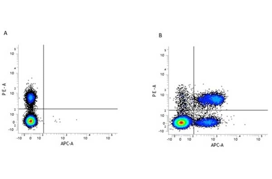 Flow Cytometry - Anti-CD3 Antibody [KT3] (PE) (A280836) - Antibodies.com
