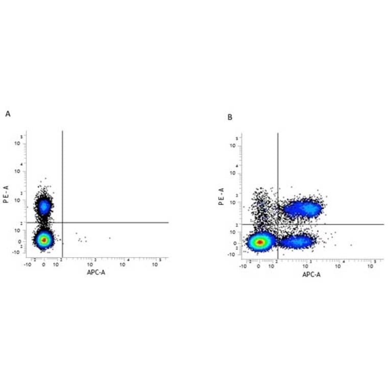 Flow Cytometry - Anti-CD3 Antibody [KT3] (PE) (A280836) - Antibodies.com