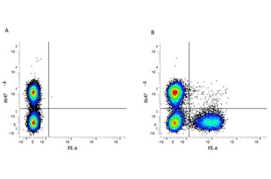 Flow Cytometry - Anti-CD3 Antibody [KT3] (PE) (A280836) - Antibodies.com