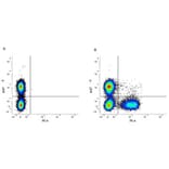 Flow Cytometry - Anti-CD3 Antibody [KT3] (PE) (A280836) - Antibodies.com