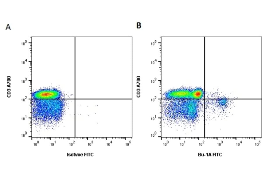 Flow Cytometry - Anti-Bu-1a Antibody [L22] (FITC) (A280849) - Antibodies.com