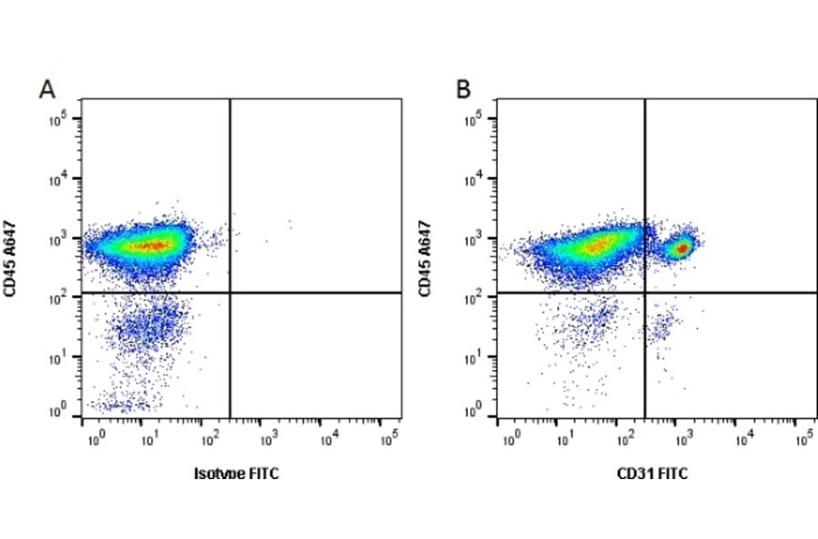 Flow Cytometry - Anti-CD31 Antibody [LCI-4] (FITC) (A280861) - Antibodies.com