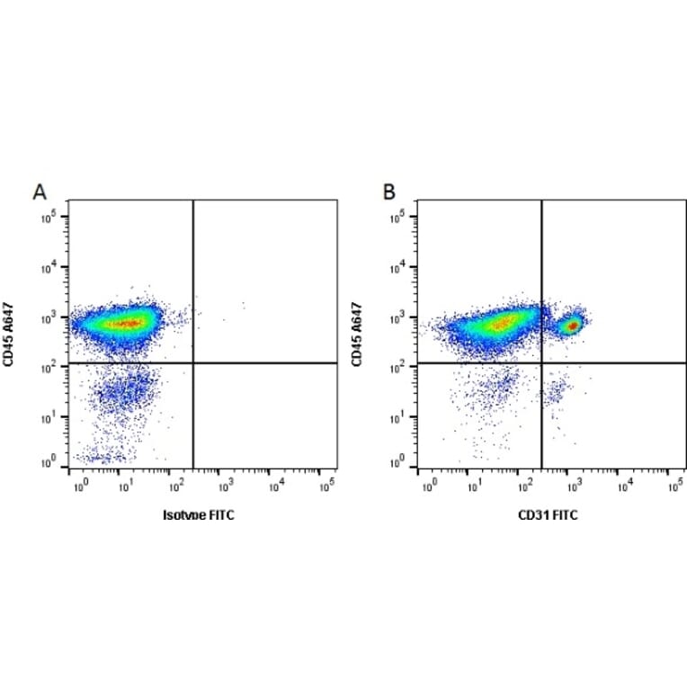 Flow Cytometry - Anti-CD31 Antibody [LCI-4] (FITC) (A280861) - Antibodies.com