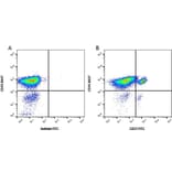 Flow Cytometry - Anti-CD31 Antibody [LCI-4] (FITC) (A280861) - Antibodies.com