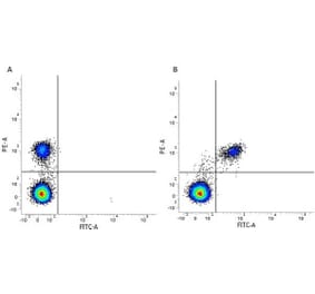 Flow Cytometry - Anti-CD40 Antibody [LOB7/6] (PE) (A280898) - Antibodies.com