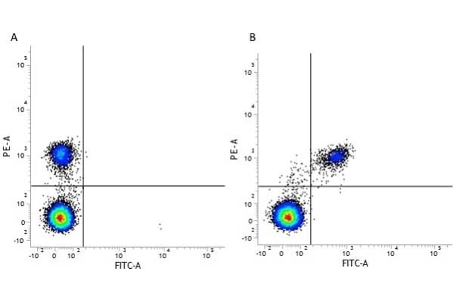 Flow Cytometry - Anti-CD40 Antibody [LOB7/6] (PE) (A280898) - Antibodies.com