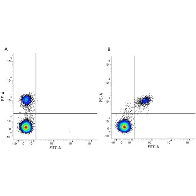 Flow Cytometry - Anti-CD40 Antibody [LOB7/6] (PE) (A280898) - Antibodies.com