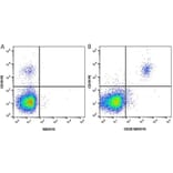 Flow Cytometry - Anti-CD19 Antibody [LT19] (PE) (A280948) - Antibodies.com