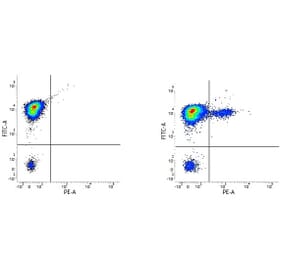 Flow Cytometry - Anti-CD19 Antibody [LT19] (PE) (A280948) - Antibodies.com