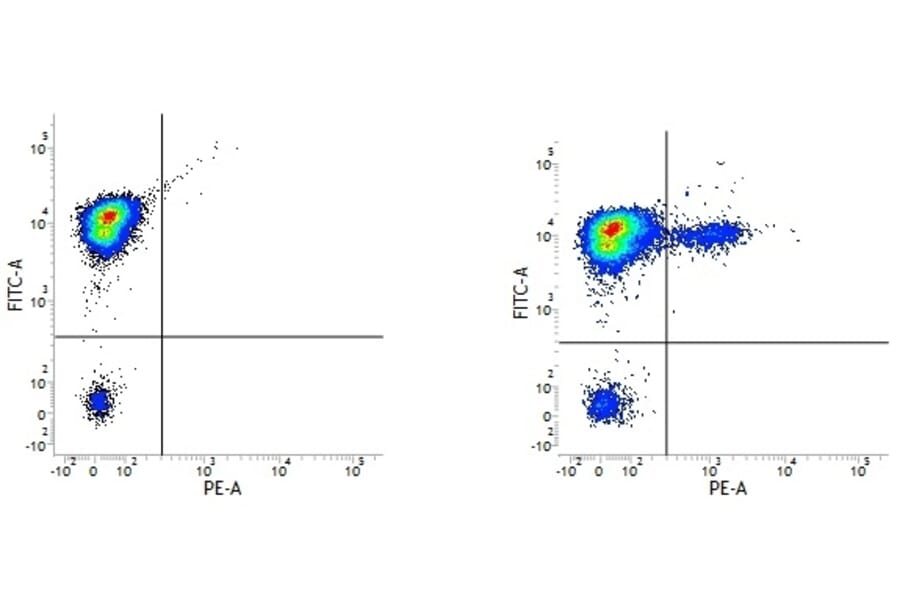 Flow Cytometry - Anti-CD19 Antibody [LT19] (PE) (A280948) - Antibodies.com