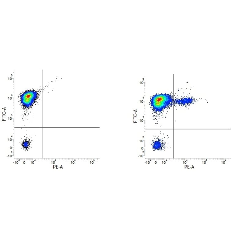 Flow Cytometry - Anti-CD19 Antibody [LT19] (PE) (A280948) - Antibodies.com