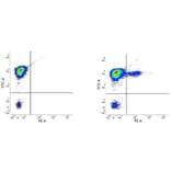 Flow Cytometry - Anti-CD19 Antibody [LT19] (PE) (A280948) - Antibodies.com