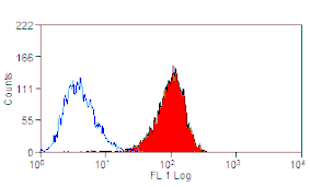 Flow Cytometry - Anti-Integrin alpha 6 Antibody [Mab-5A] (FITC) (A281015) - Antibodies.com