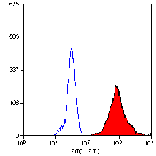 Flow Cytometry - Anti-Macrophages/Monocytes/Granulocytes Antibody [MAC387] (FITC) (A281024) - Antibodies.com