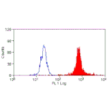 Flow Cytometry - Anti-Macrophages/Monocytes/Granulocytes Antibody [MAC387] - BSA and Azide free (A281027) - Antibodies.com