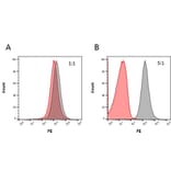 ELISA - Anti-Rituximab Antibody [MB2A4] (A281066) - Antibodies.com