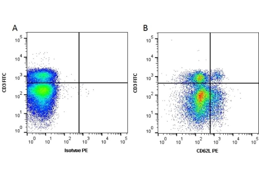 Flow Cytometry - Anti-CD62L Antibody [MEL-14] (PE) (A281090) - Antibodies.com
