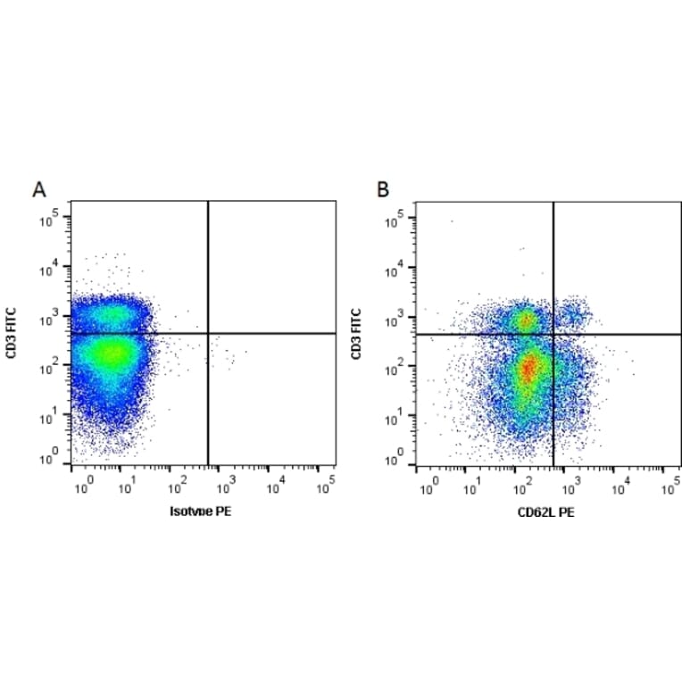Flow Cytometry - Anti-CD62L Antibody [MEL-14] (PE) (A281090) - Antibodies.com
